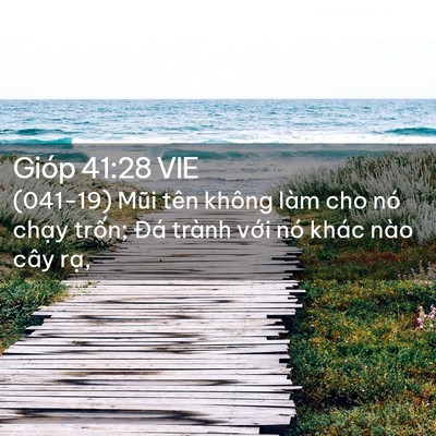 Picture 02 - Gióp 41:28 VIE - (041-19) Mũi tên không làm cho nó chạy - Bible Verse Picture