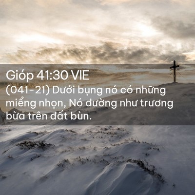 Picture 02 - Gióp 41:30 VIE - (041-21) Dưới bụng nó có những miểng - Bible Verse Picture