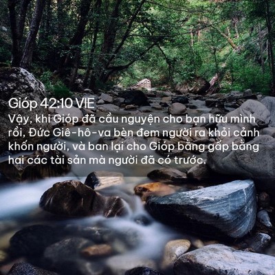 Picture 02 - Gióp 42:10 VIE - Vậy, khi Gióp đã cầu nguyện cho bạn - Bible Verse Picture