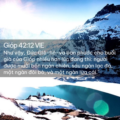 Picture 02 - Gióp 42:12 VIE - Như vậy, Đức Giê-hô-va ban phước cho - Bible Verse Picture