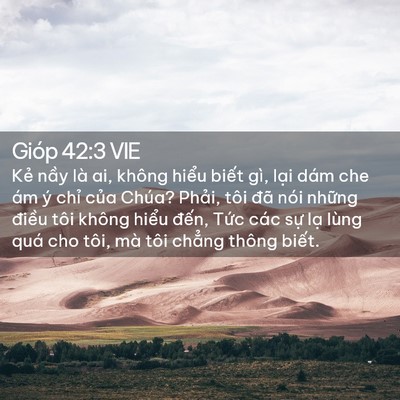 Picture 02 - Gióp 42:3 VIE - Kẻ nầy là ai, không hiểu biết gì, - Bible Verse Picture