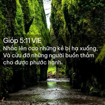 Picture 02 - Gióp 5:11 VIE - Nhắc lên cao những kẻ bị hạ xuống, - Bible Verse Picture