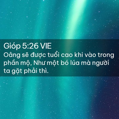 Picture 02 - Gióp 5:26 VIE - Oâng sẽ được tuổi cao khi vào trong - Bible Verse Picture