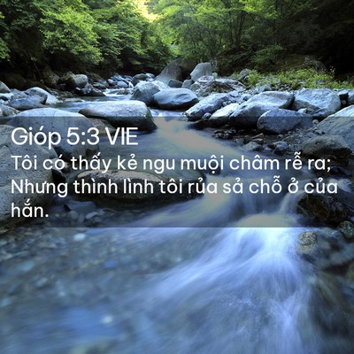 Picture 02 - Gióp 5:3 VIE - Tôi có thấy kẻ ngu muội châm rễ ra; - Bible Verse Picture