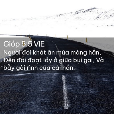 Picture 02 - Gióp 5:5 VIE - Người đói khát ăn mùa màng hắn, Đến - Bible Verse Picture