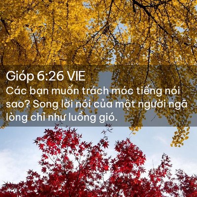 Picture 02 - Gióp 6:26 VIE - Các bạn muốn trách móc tiếng nói sao? - Bible Verse Picture