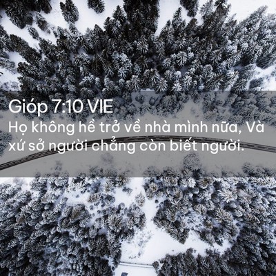 Picture 02 - Gióp 7:10 VIE - Họ không hề trở về nhà mình nữa, Và - Bible Verse Picture