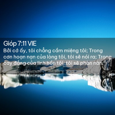 Picture 02 - Gióp 7:11 VIE - Bởi cớ ấy, tôi chẳng cầm miệng tôi; - Bible Verse Picture