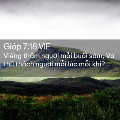 Picture 02 - Gióp 7:18 VIE - Viếng thăm người mỗi buổi sớm, Và - Bible Verse Picture