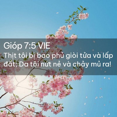Picture 02 - Gióp 7:5 VIE - Thịt tôi bị bao phủ giòi tửa và lấp - Bible Verse Picture