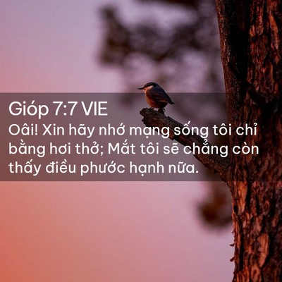 Picture 02 - Gióp 7:7 VIE - Oâi! Xin hãy nhớ mạng sống tôi chỉ - Bible Verse Picture