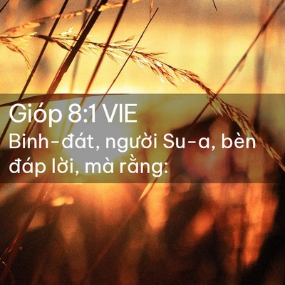 Picture 02 - Gióp 8:1 VIE - Binh-đát, người Su-a, bèn đáp lời, mà - Bible Verse Picture