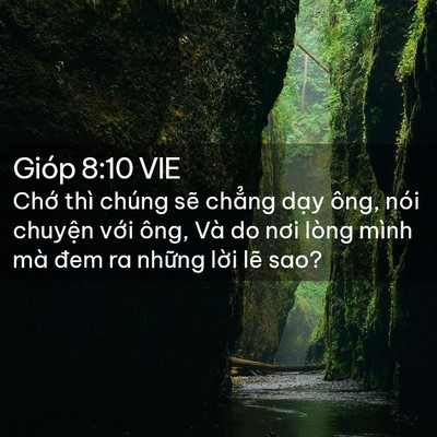 Picture 02 - Gióp 8:10 VIE - Chớ thì chúng sẽ chẳng dạy ông, nói - Bible Verse Picture