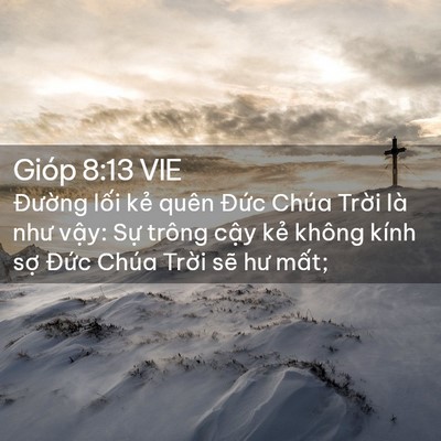 Picture 02 - Gióp 8:13 VIE - Đường lối kẻ quên Đức Chúa Trời - Bible Verse Picture