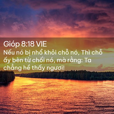 Picture 02 - Gióp 8:18 VIE - Nếu nó bị nhổ khỏi chỗ nó, Thì chỗ - Bible Verse Picture