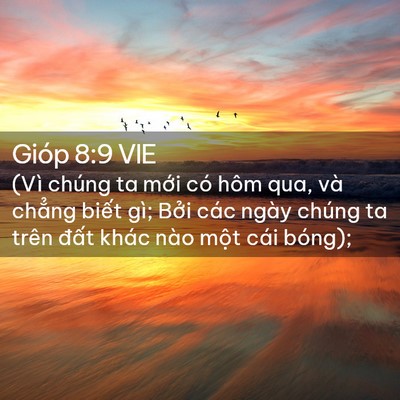 Picture 02 - Gióp 8:9 VIE - (Vì chúng ta mới có hôm qua, và chẳng - Bible Verse Picture
