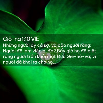 Picture 02 - Giô-na 1:10 VIE - Những người ấy cả sợ, và bảo - Bible Verse Picture