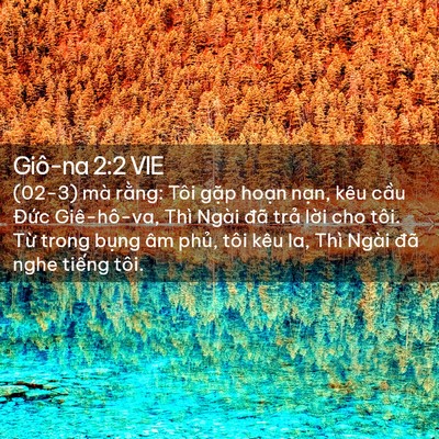 Picture 02 - Giô-na 2:2 VIE - (02-3) mà rằng: Tôi gặp hoạn nạn, kêu - Bible Verse Picture