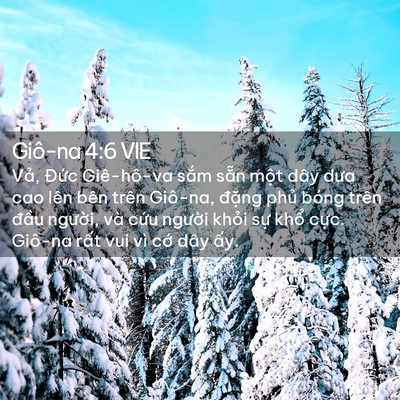Picture 02 - Giô-na 4:6 VIE - Vả, Đức Giê-hô-va sắm sẵn một dây - Bible Verse Picture