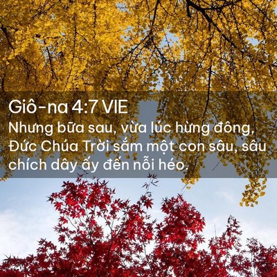 Picture 02 - Giô-na 4:7 VIE - Nhưng bữa sau, vừa lúc hừng đông, - Bible Verse Picture