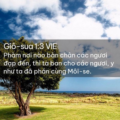Picture 02 - Giô-sua 1:3 VIE - Phàm nơi nào bàn chân các ngươi đạp - Bible Verse Picture