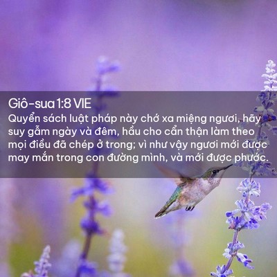 Picture 02 - Giô-sua 1:8 VIE - Quyển sách luật pháp này chớ xa miệng - Bible Verse Picture