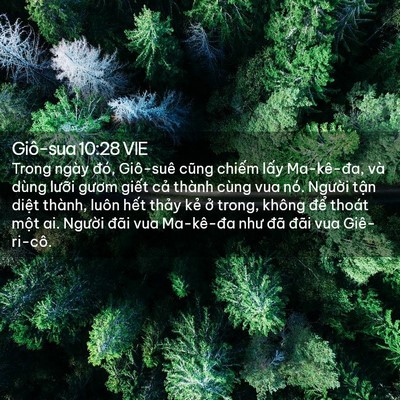 Picture 02 - Giô-sua 10:28 VIE - Trong ngày đó, Giô-suê cũng chiếm lấy - Bible Verse Picture