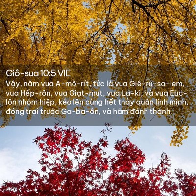 Picture 02 - Giô-sua 10:5 VIE - Vậy, năm vua A-mô-rít, tức là vua - Bible Verse Picture
