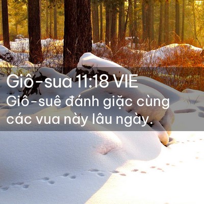 Picture 02 - Giô-sua 11:18 VIE - Giô-suê đánh giặc cùng các vua này lâu - Bible Verse Picture