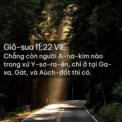 Picture 02 - Giô-sua 11:22 VIE - Chẳng còn người A-na-kim nào trong xứ - Bible Verse Picture