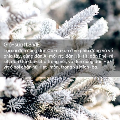 Picture 02 - Giô-sua 11:3 VIE - Lại sai đến cùng dân Ca-na-an ở về - Bible Verse Picture