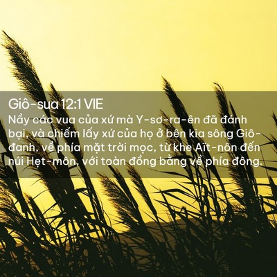 Picture 02 - Giô-sua 12:1 VIE - Nầy các vua của xứ mà Y-sơ-ra-ên đã - Bible Verse Picture