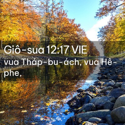 Picture 02 - Giô-sua 12:17 VIE - vua Tháp-bu-ách, vua - Bible Verse Picture