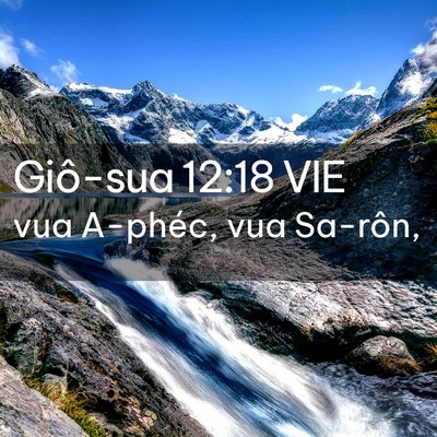 Picture 02 - Giô-sua 12:18 VIE - vua A-phéc, vua - Bible Verse Picture