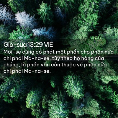 Picture 02 - Giô-sua 13:29 VIE - Môi-se cũng có phát một phần cho phân - Bible Verse Picture
