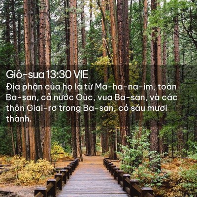 Picture 02 - Giô-sua 13:30 VIE - Địa phận của họ là từ Ma-ha-na-im, - Bible Verse Picture