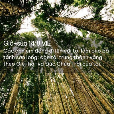 Picture 02 - Giô-sua 14:8 VIE - Các anh em đồng đi lên với tôi làm cho - Bible Verse Picture