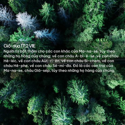 Picture 02 - Giô-sua 17:2 VIE - Người ta bắt thăm cho các con khác của - Bible Verse Picture