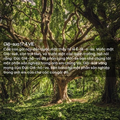 Picture 02 - Giô-sua 17:4 VIE - Các con gái này đến trước mặt thầy - Bible Verse Picture