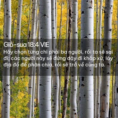 Picture 02 - Giô-sua 18:4 VIE - Hãy chọn từng chi phái ba người, rồi - Bible Verse Picture