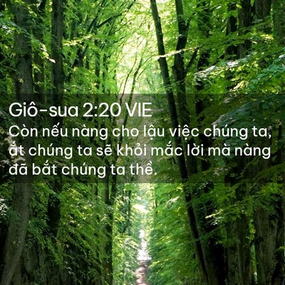 Picture 02 - Giô-sua 2:20 VIE - Còn nếu nàng cho lậu việc chúng ta, ắt - Bible Verse Picture