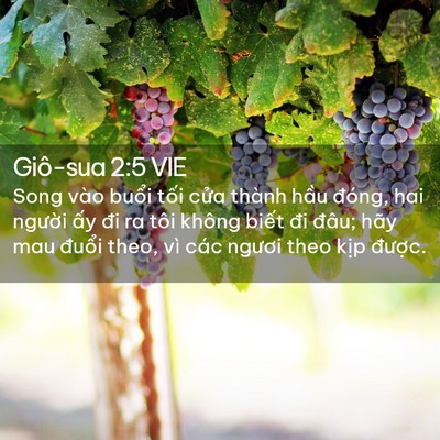 Picture 02 - Giô-sua 2:5 VIE - Song vào buổi tối cửa thành hầu đóng, - Bible Verse Picture