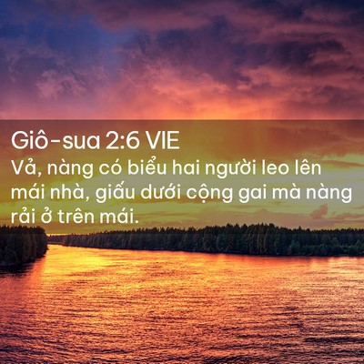 Picture 02 - Giô-sua 2:6 VIE - Vả, nàng có biểu hai người leo lên mái - Bible Verse Picture