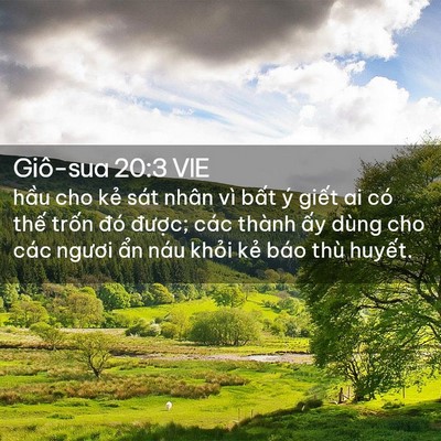 Picture 02 - Giô-sua 20:3 VIE - hầu cho kẻ sát nhân vì bất ý giết ai - Bible Verse Picture