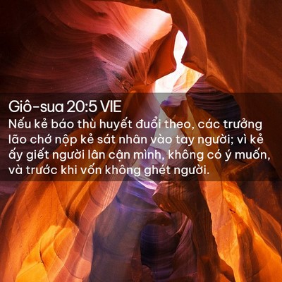 Picture 02 - Giô-sua 20:5 VIE - Nếu kẻ báo thù huyết đuổi theo, các - Bible Verse Picture