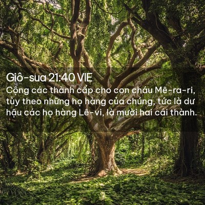 Picture 02 - Giô-sua 21:40 VIE - Cộng các thành cấp cho con cháu Mê-ra-ri, - Bible Verse Picture