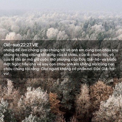 Picture 02 - Giô-sua 22:27 VIE - nhưng để làm chứng giữa chúng tôi và - Bible Verse Picture