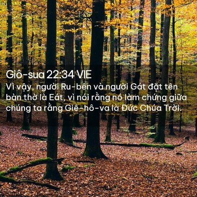 Picture 02 - Giô-sua 22:34 VIE - Vì vậy, người Ru-bên và người Gát - Bible Verse Picture