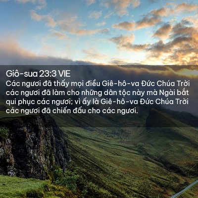 Picture 02 - Giô-sua 23:3 VIE - Các ngươi đã thấy mọi điều - Bible Verse Picture
