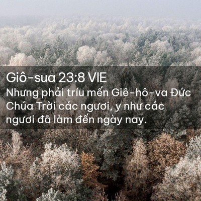 Picture 02 - Giô-sua 23:8 VIE - Nhưng phải tríu mến Giê-hô-va Đức - Bible Verse Picture